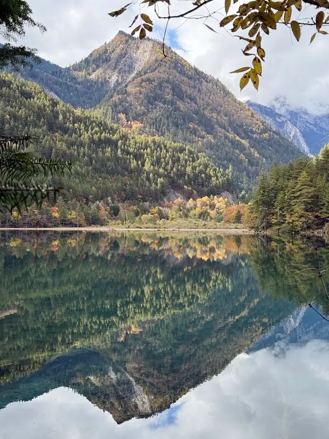 autumn in China Jiuzhaigou colorful forest
