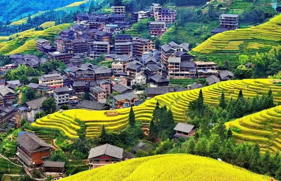 Longji rice terraces wooden stilt guesthouse where to stay